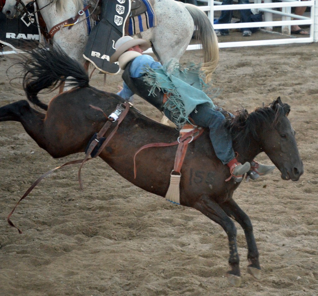 Cowboy on bucking horse