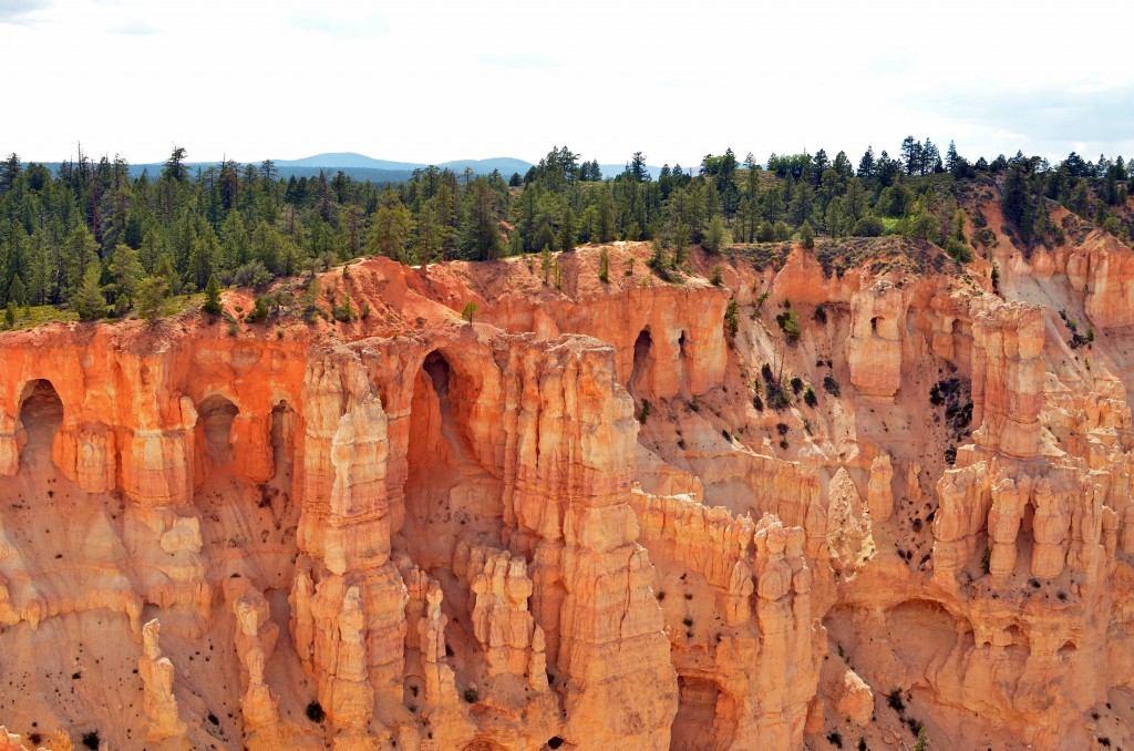 bryce canyon half 10