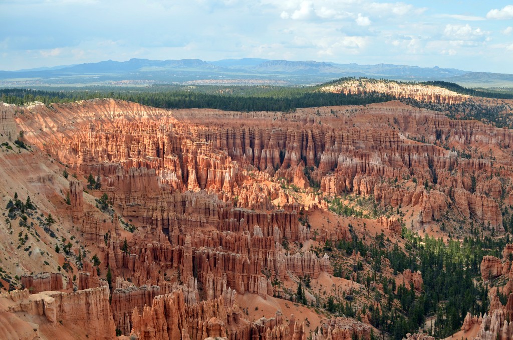 bryce canyon half 12