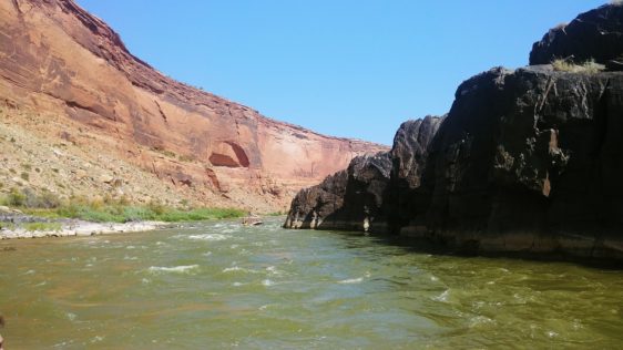 westwater canyon river